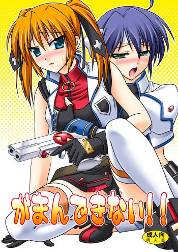 Gaman dekinai!! cover