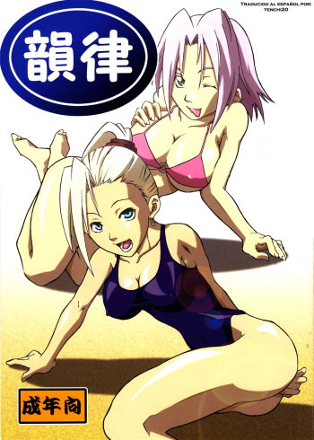 Inritsu cover