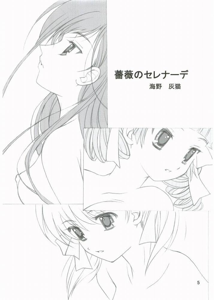 ROSE SWEETS 6 page 4 full