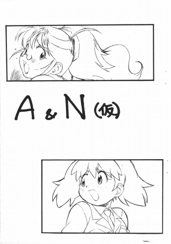A &amp; N cover