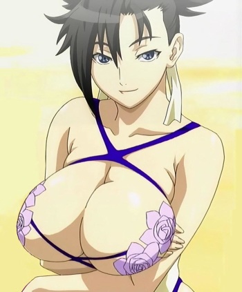 Assorted Ecchi Collection #016 cover