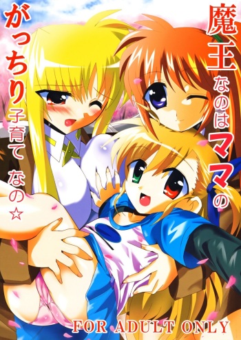 Maou Nanoha Mama no Gacchiri Kosodate Nano cover