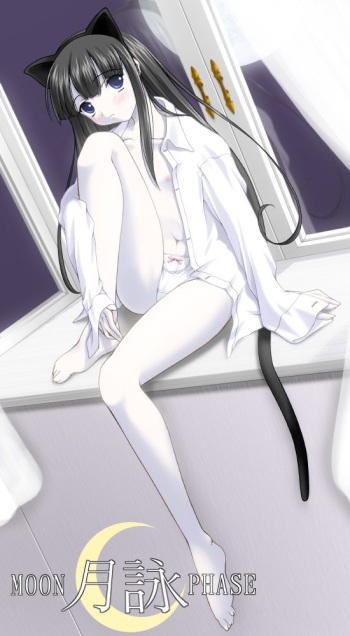 Ecchi Collection cover