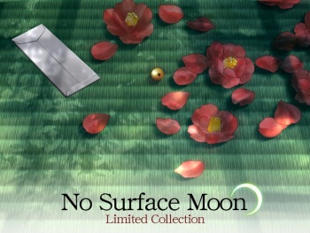 Kao no nai Tsuki: No Surface Moon - Limited Collection cover