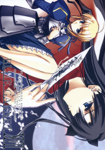 BLUE GARNET XVII cover