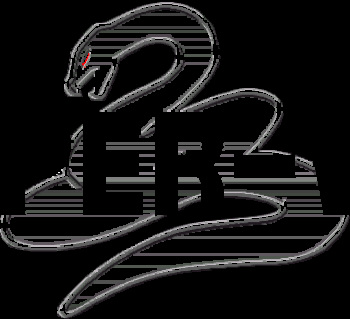 Viper V6 cover