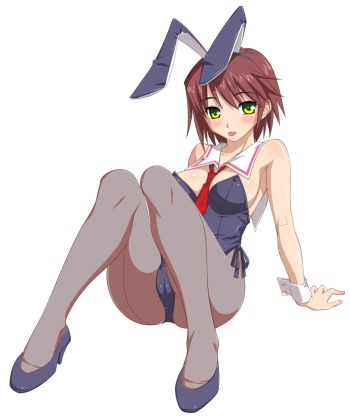 Asakura Sakura Collection cover