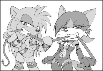 Large Sonic Collection- Fan Characters cover