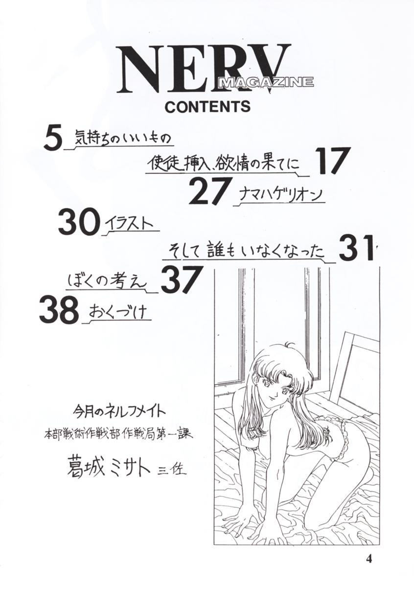NERV MAGAZINE page 3 full