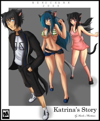 Katrina's Story cover