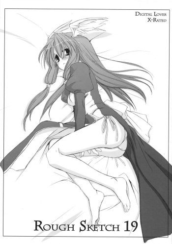 Rough Sketch 19 cover