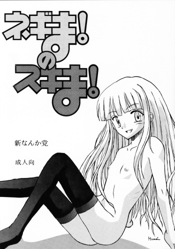 Negima! no Sukima! cover