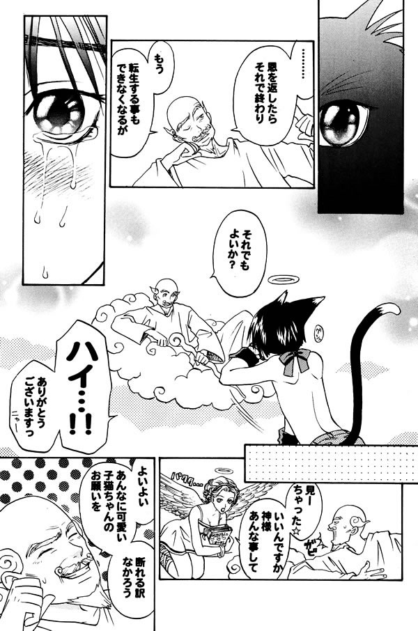 Nekomimi Shounen page 4 full
