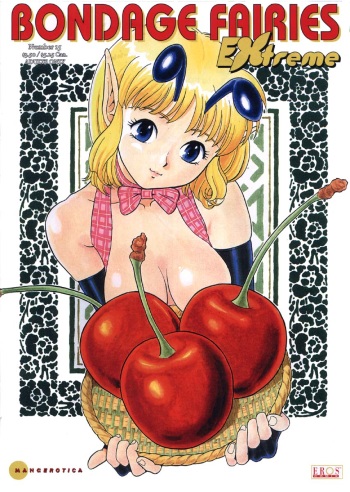 Bondage Fairies Extreme 15 cover