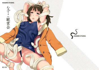 Nadeko Kanshoukai cover