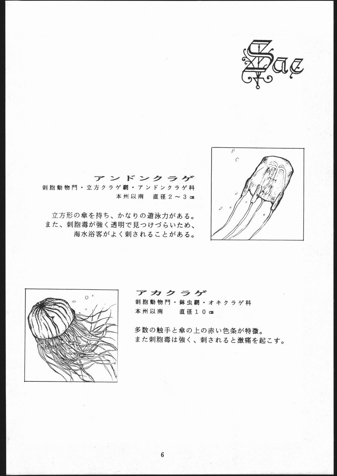 Sae Superdry II page 7 full