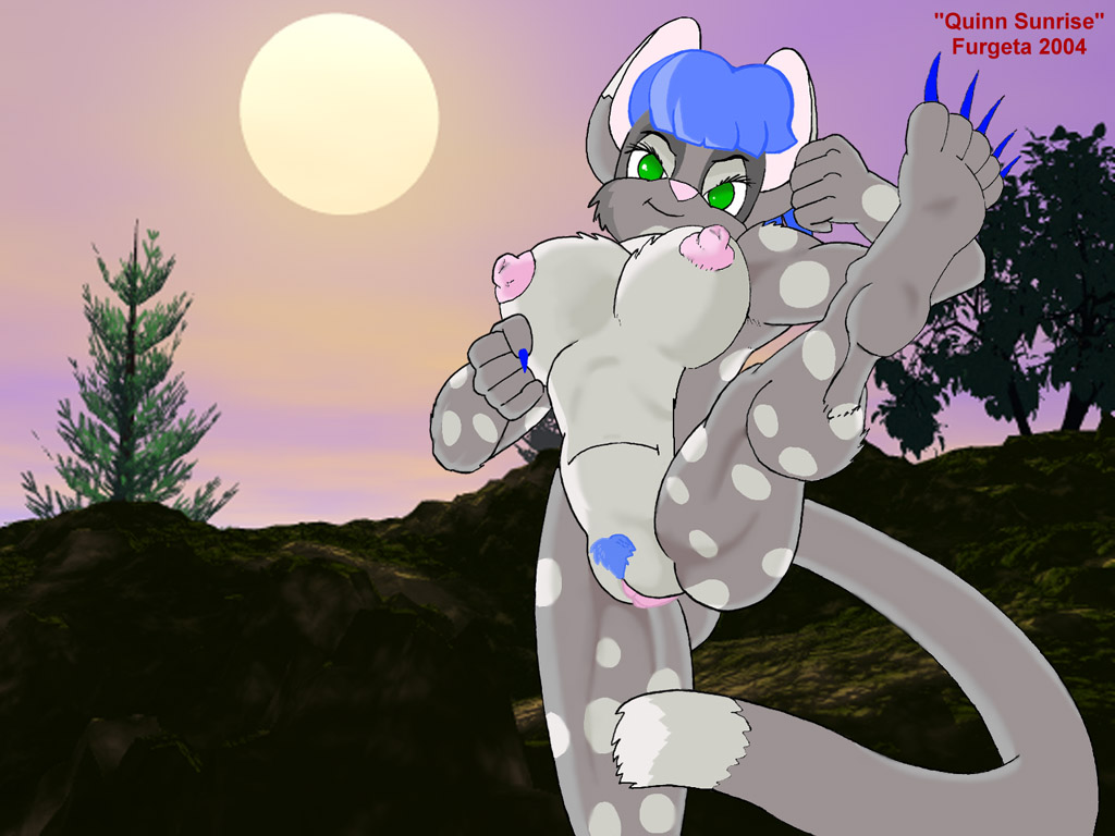 Furgeta page 7 full