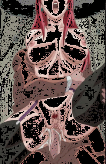 Mixed gifs part 2 cover