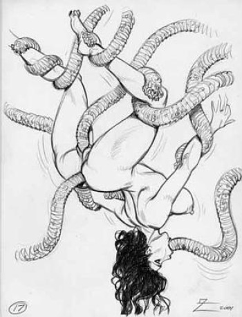 Tentacle Fest cover