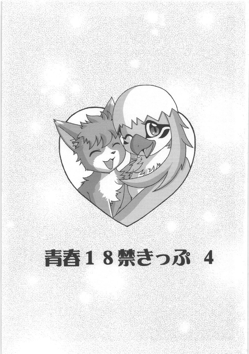 Seishun 18kin Kippu 4 page 2 full