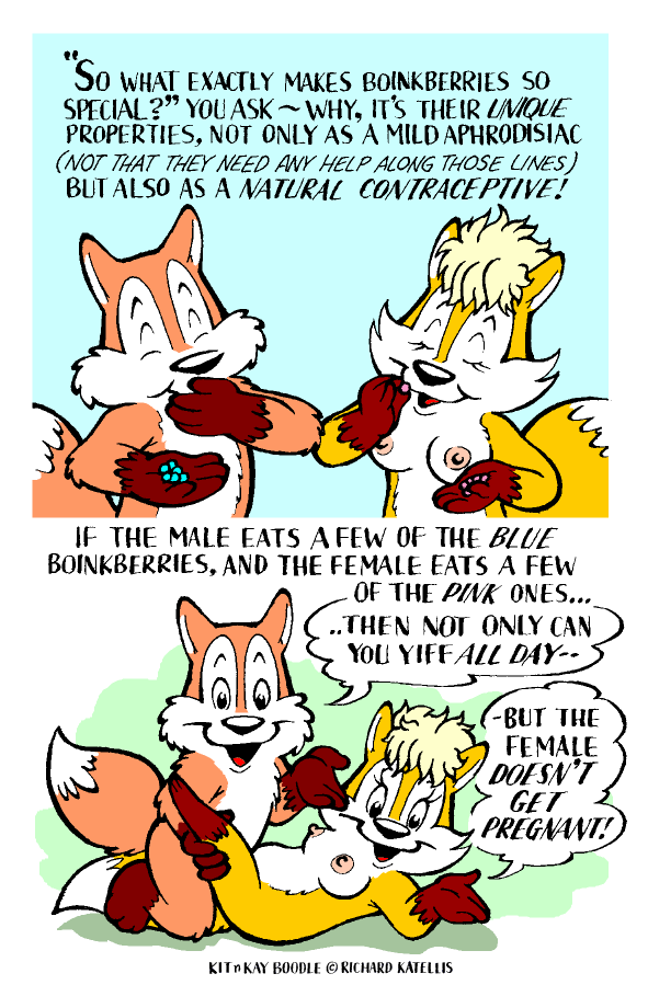 Kit n Kay Boodle page 3 full