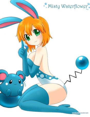my pokemon gallery 3 cover
