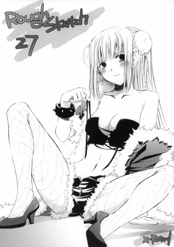 ROUGH SKETCH 27 cover
