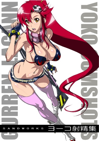 Yoko Shasei Shuu cover