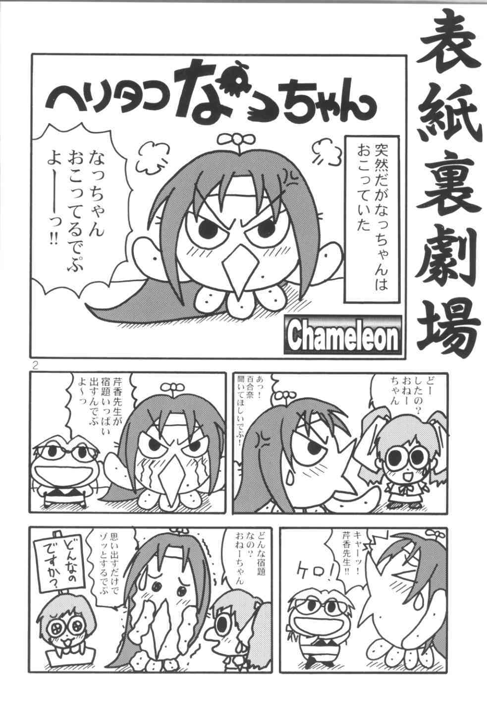 WILD P7 page 2 full