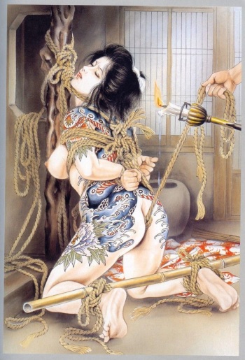 The World of Ozuma-Youko cover