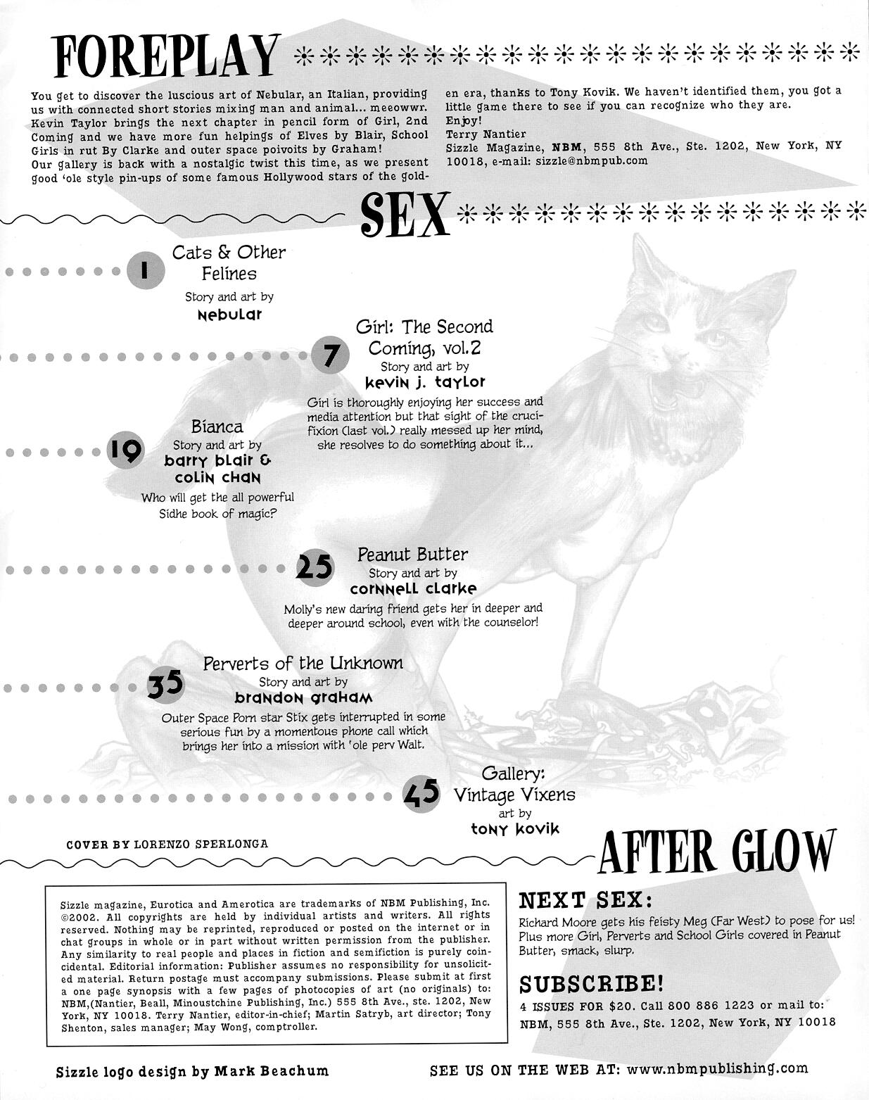Sizzle Comix # 14 page 2 full