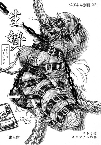 Vivian Bessatsu.22 Ikenie Futanari Version cover