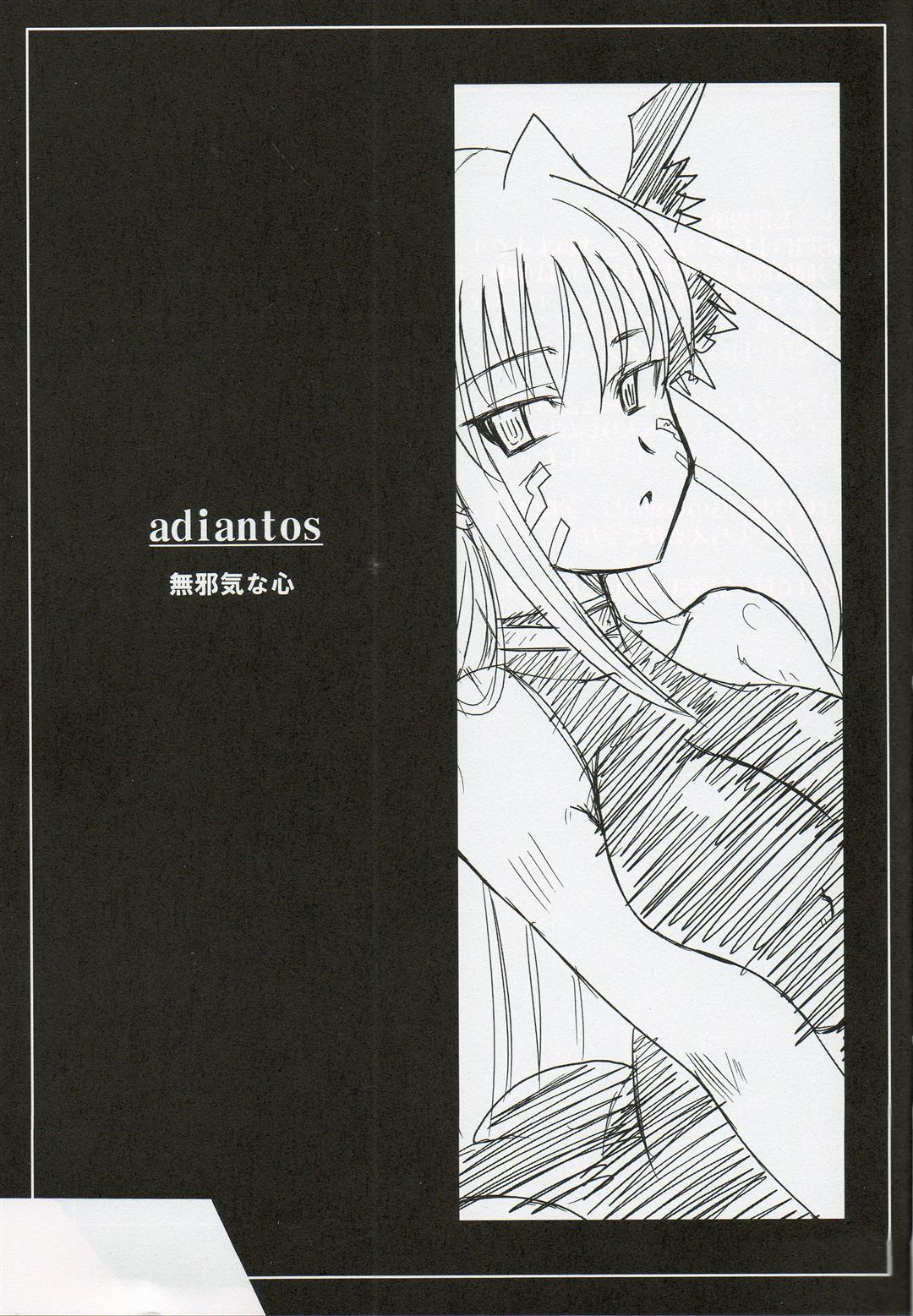 adiantos page 2 full