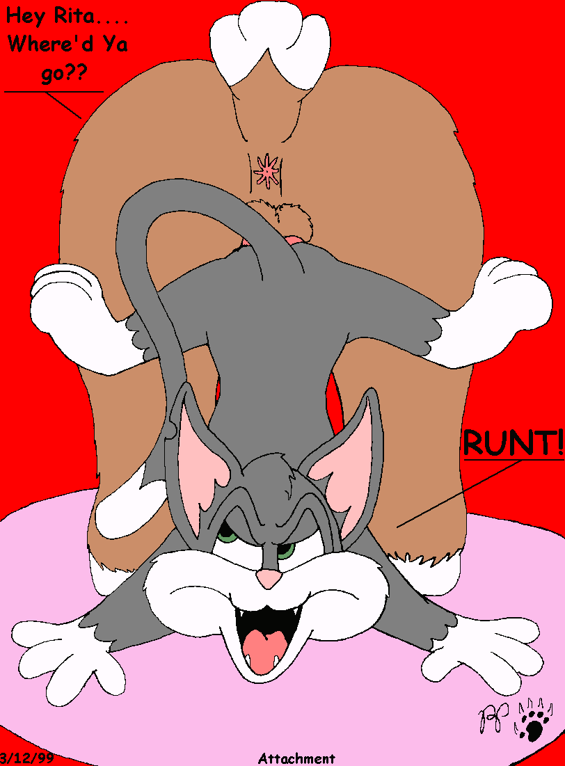 Animaniacs page 9 full