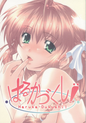 Haruka - Dukushi! cover