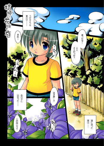 Kikyou no Hana Saku Niwa cover