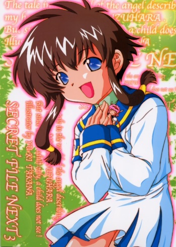 Secret File Next 3 cover