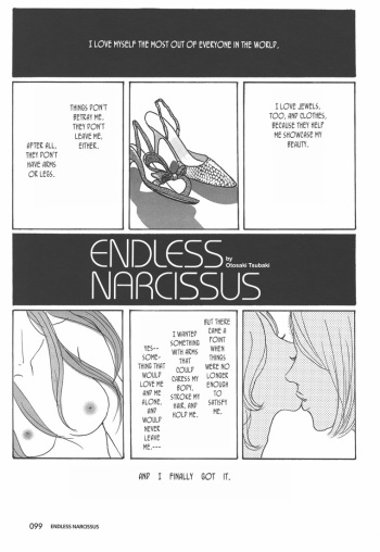 Endless Narcissus cover