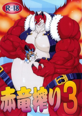 Sekiryuu Shibori 3 cover