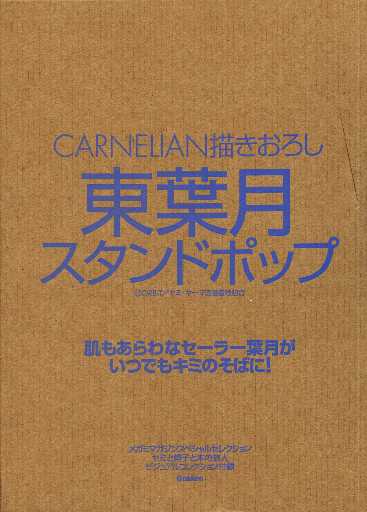 Yami to Boushi to Hon no Tabibito Visual Collection page 6 full