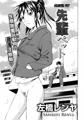 Sempai Pet cover