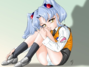 fushine cover