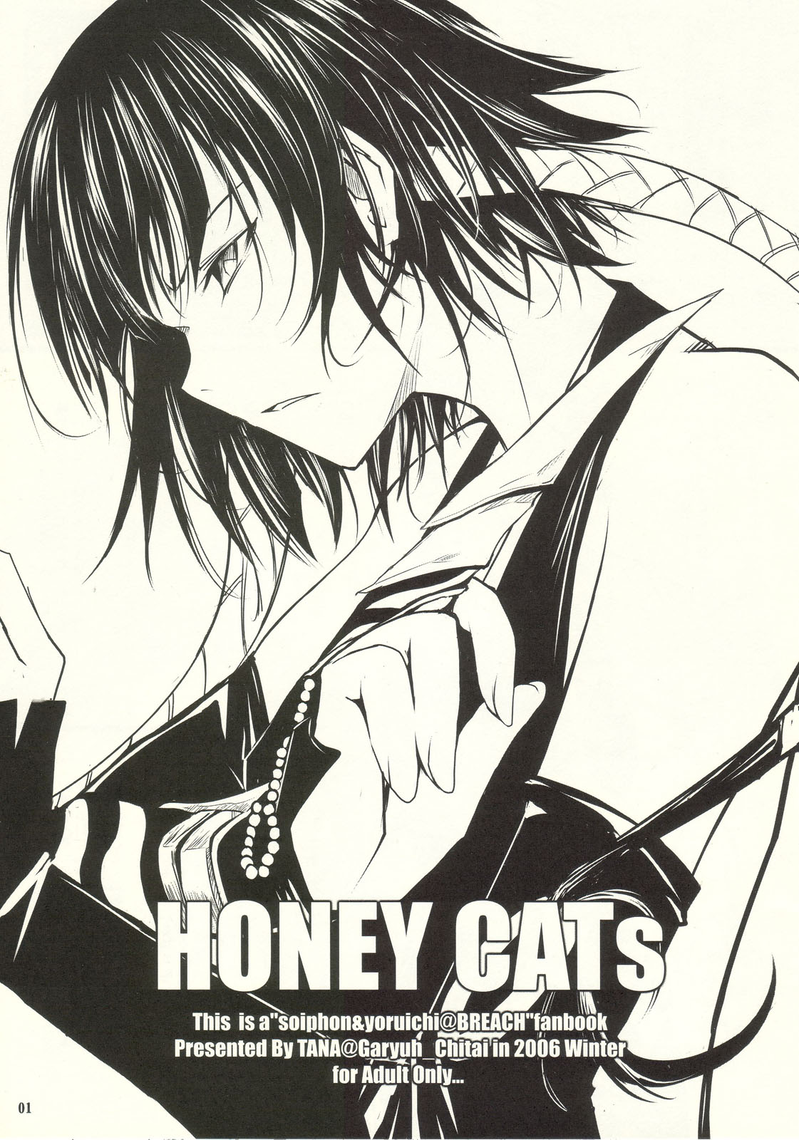 HONEY CATs page 1 full
