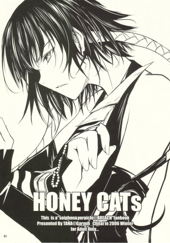 HONEY CATs cover