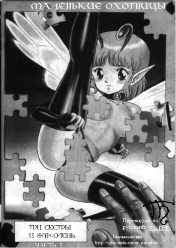 Bondage Fairies 3 cover