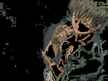 Animated gifs set 1 cover