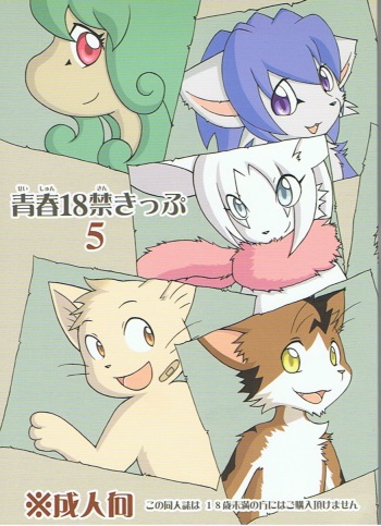 Seishun 18kin Kippu 5 cover