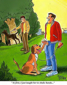 Funny Cartoons 4 page 2 full