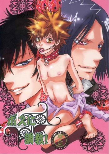 Boss ni Choukyou! cover