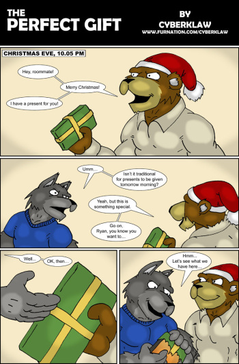 The Perfect Gift cover